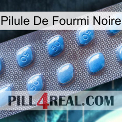Black Ant Pill viagra3